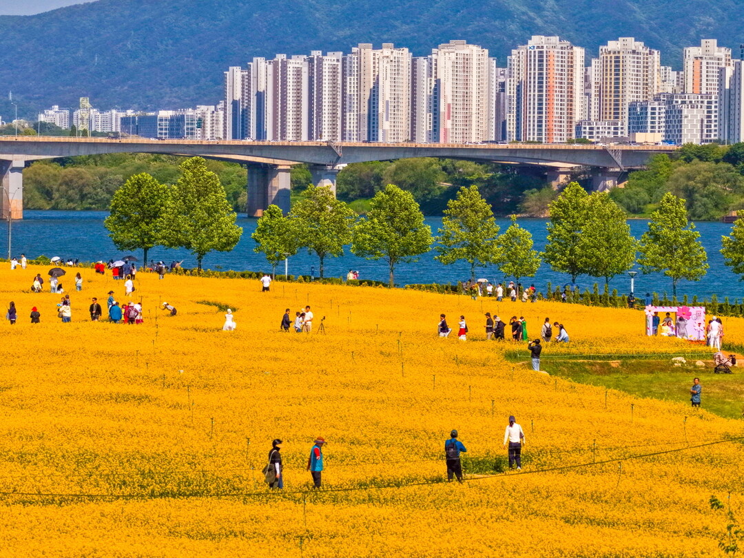 “시민 댓글이 축제 분위기 만들었다” 구리시 SNS 이벤트 주목